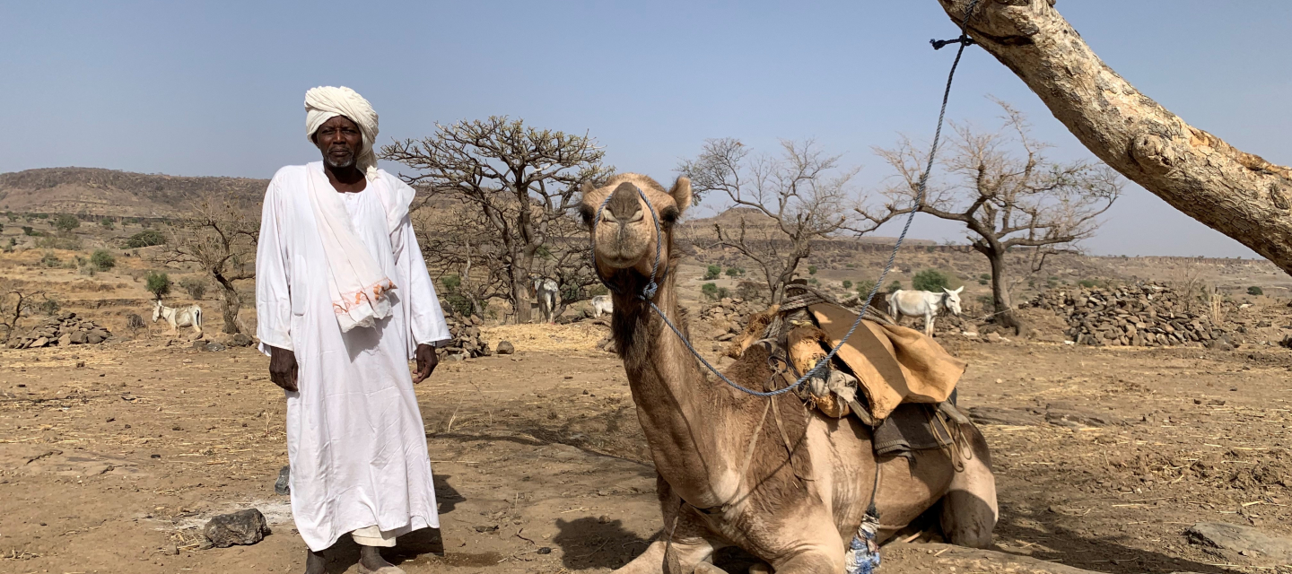 Mohammed Abdallah Juma, Dillis Gemeidevorsteher, mit einem Kamel in Jebel Marra.