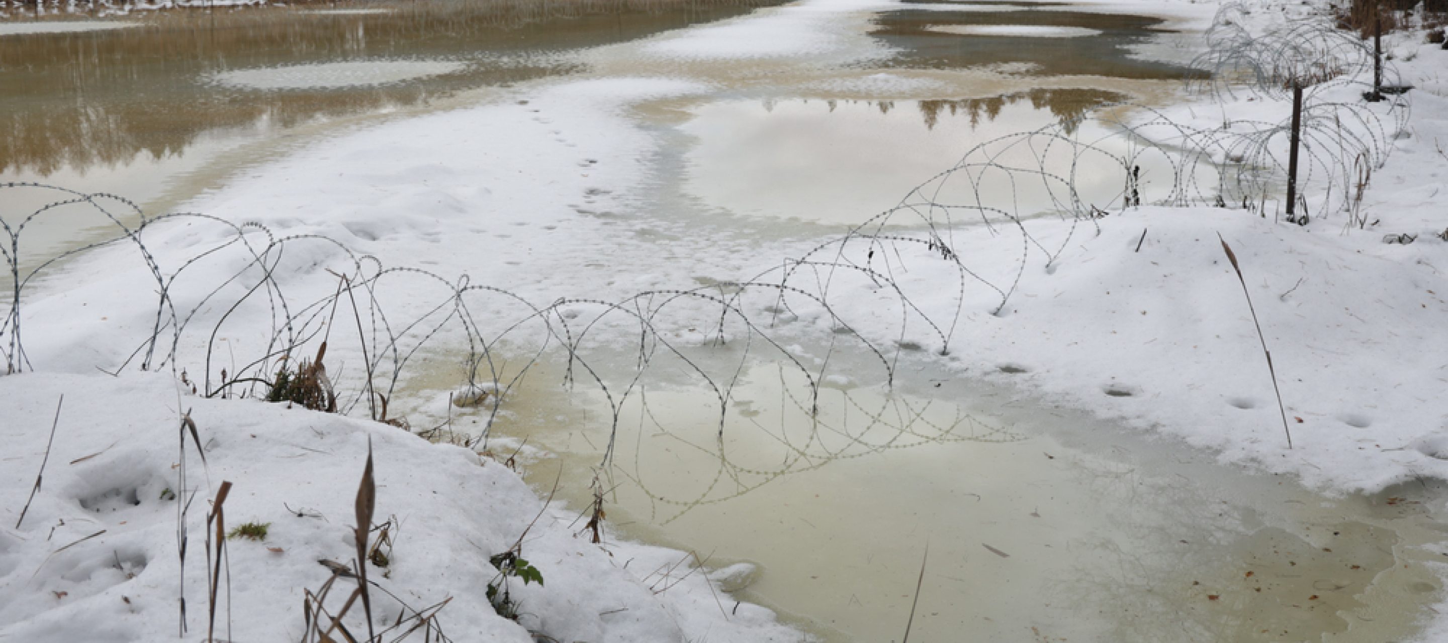 Grenze zwischen Polen Belarus in Natur Stacheldraht