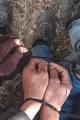 Gefesselte Hände von Migrant*innen