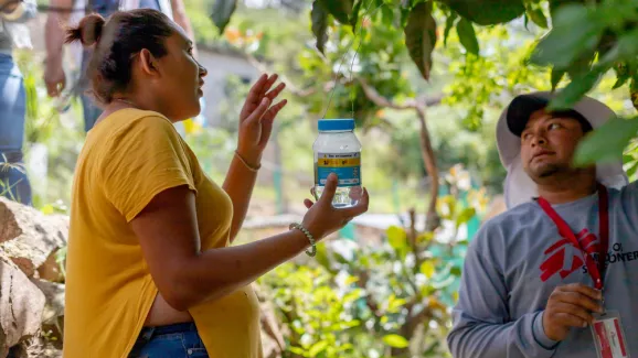 Honduras: Dengue-Fieber vorbeugen 