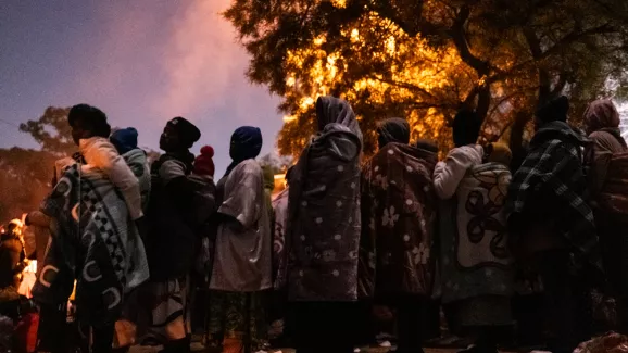 Menschen stehen unter einem Baum in einer Schlange