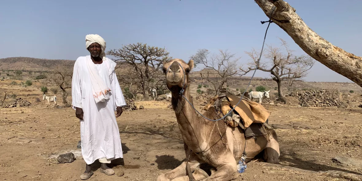 Mohammed Abdallah Juma, Dillis Gemeidevorsteher, mit einem Kamel in Jebel Marra.