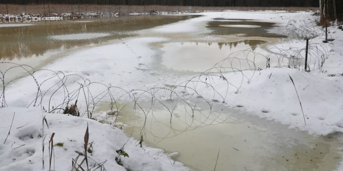 Grenze zwischen Polen Belarus in Natur Stacheldraht