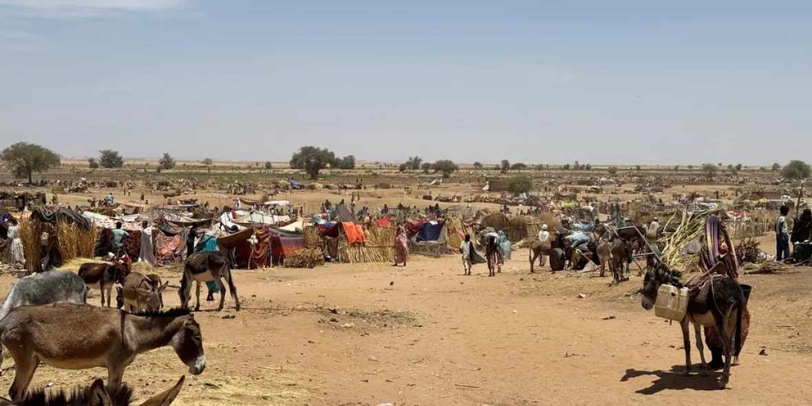 Blick auf Geflüchtetencamp mit provisorischen Unterkünften