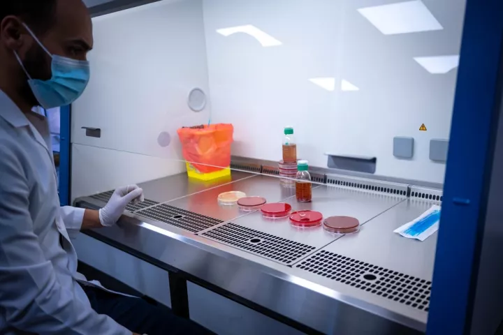In Amman beobachtet ein Labormitarbeiter Bakterienkulturen im Krankenhaus für rekonstruktive Chirurgie von Ärzte ohne Grenzen.