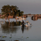 Schwere Überschwemmungen im Südsudan zerstörten Lebensgrundlagen