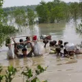 Myanmar Rohingya Ärzte ohne Grenzen