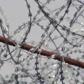 Gewalt gegen Flüchtlinge an der serbisch-ungarischen Grenze