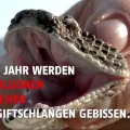 Ärzte ohne Grenzen Schlangenbiss Vernachlässigte Krankheit