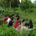Erdbebenhilfe in West Sulawesi, Indonesien