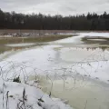 Grenze zwischen Polen Belarus in Natur Stacheldraht