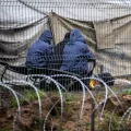 Litauen: ein provisorisches Lager für Menschen auf der Flucht 