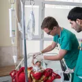 Zwei Mitarbeiter kümmern sich um ein Neugeborenes in einem Bett