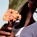 Person die sich ein grünes Pflanzenblatt und eine orangene Blume vor das Gesicht hält um nicht erkannt zu werden 