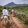 Unser Team reitet auf Eseln nach Umo