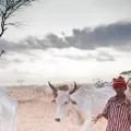 Ärzte ohne Grenzen Dadaab Kenia Somalia